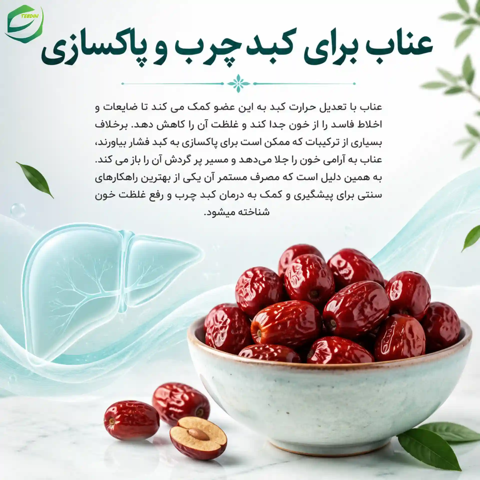 عناب برای کبد چرب و پاکسازی