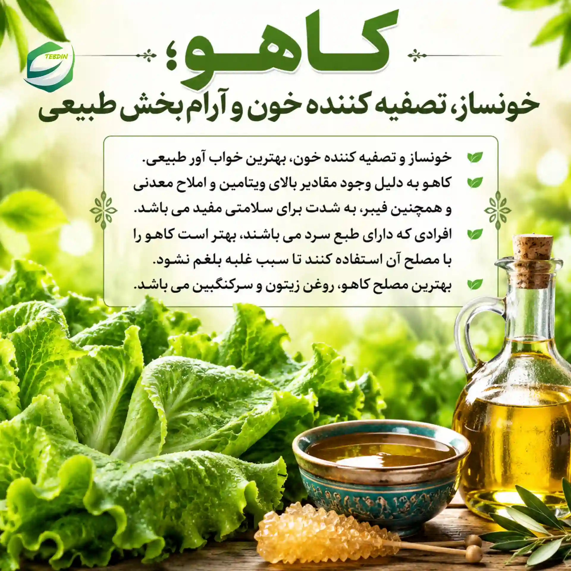 کاهو خونساز تصفیه کننده خون و آرام بخش طبیعی