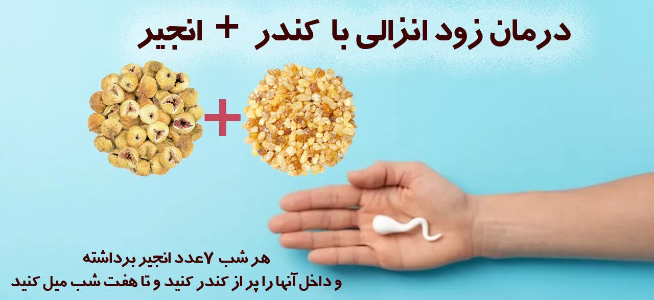 درمان زود انزالی با انجیر و کندر