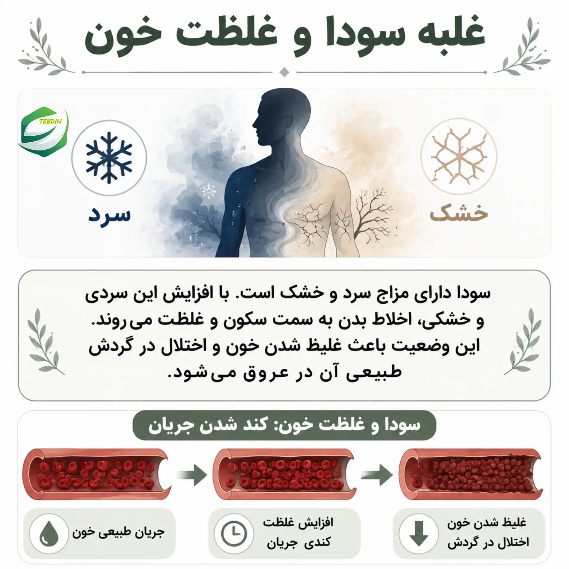 دمنوش عالی برای برطرف کردن غلظت خون در افراد سودایی 1 غلبه سودا و غلظت خون