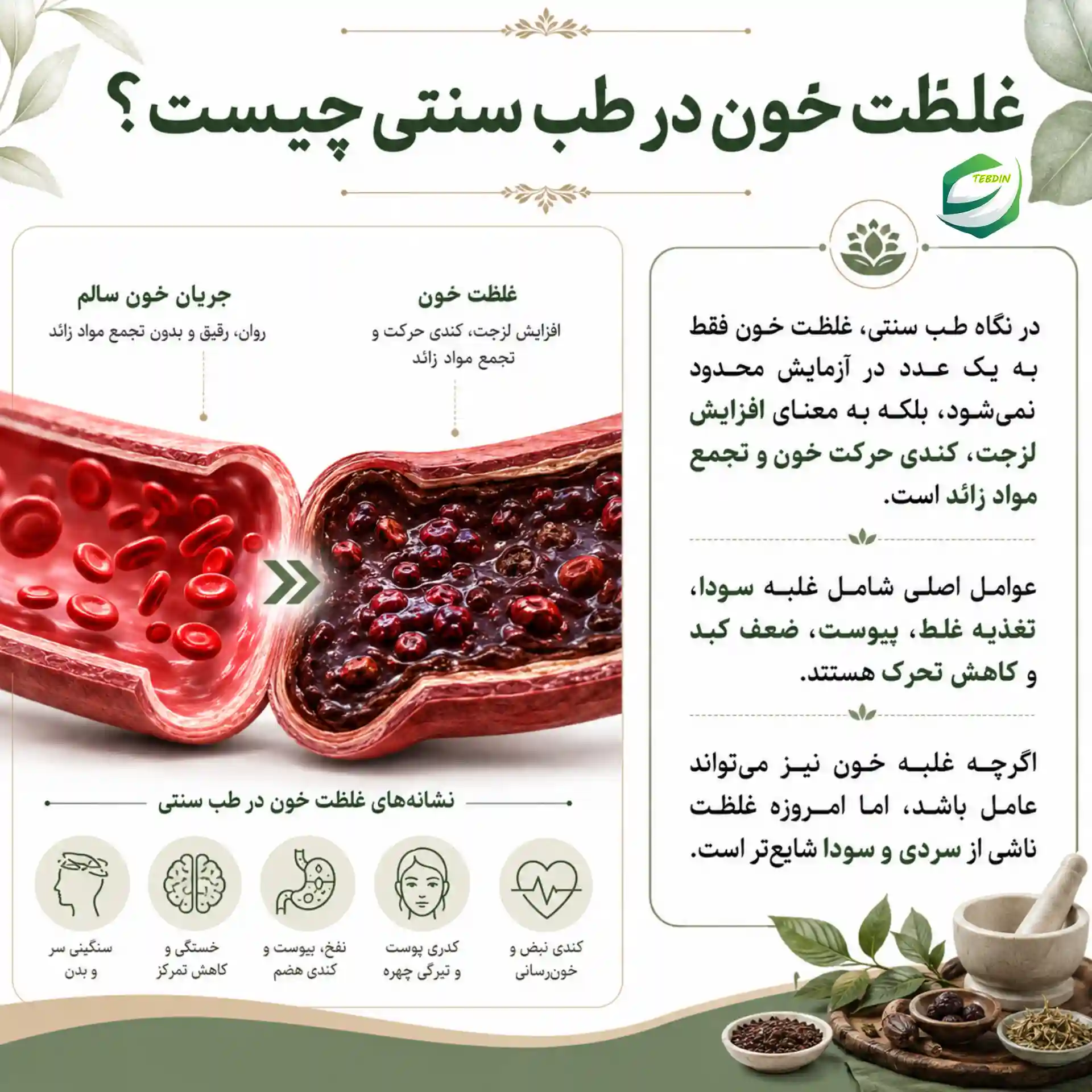 دمنوش عالی برای برطرف کردن غلظت خون در افراد سودایی 2 غلظت خون در طب سنتی چیست؟