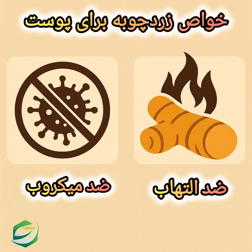خواص زردچوبه برای پوست 2