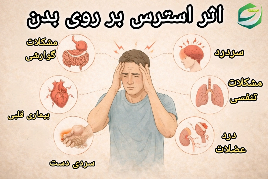 داروی استرس 3 اثر استرس بر روی بدن