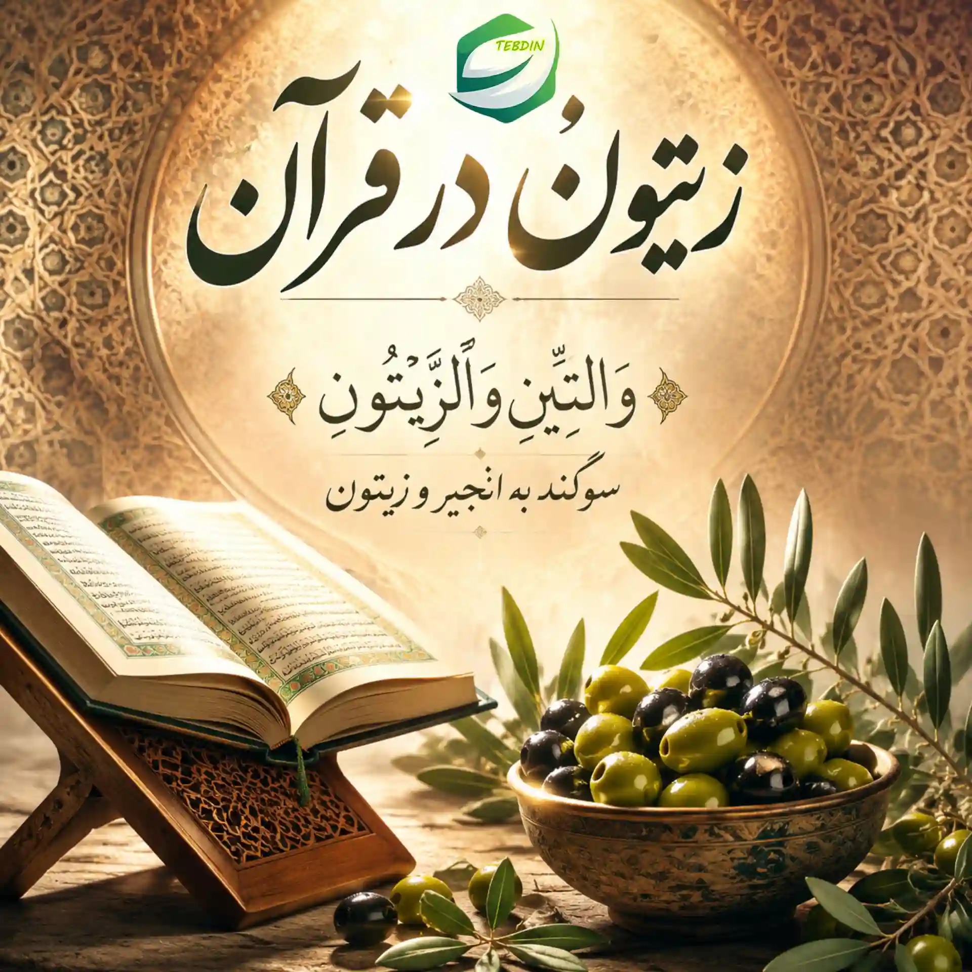 روغن زیتون در دیدگاه ائمه 1 زیتون در قرآن