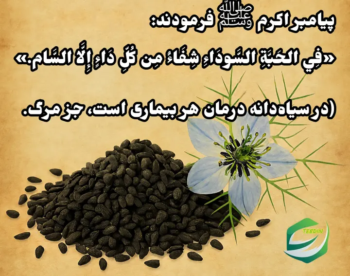 سیاهدانه در روایات