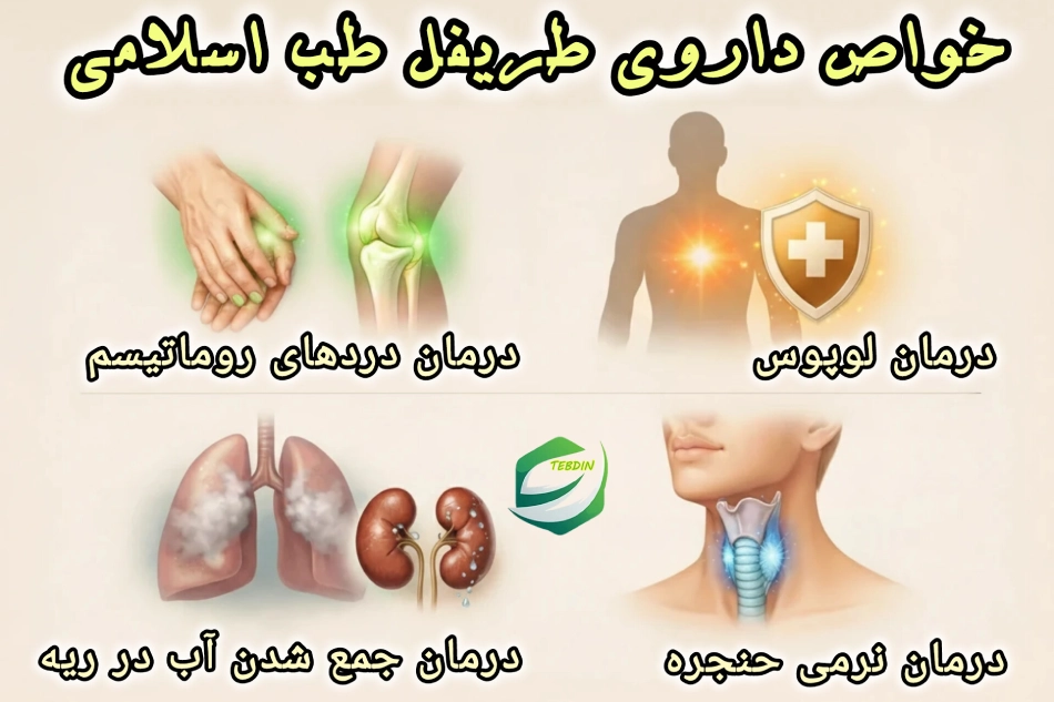 خواص داروی طریفل طب اسلامی