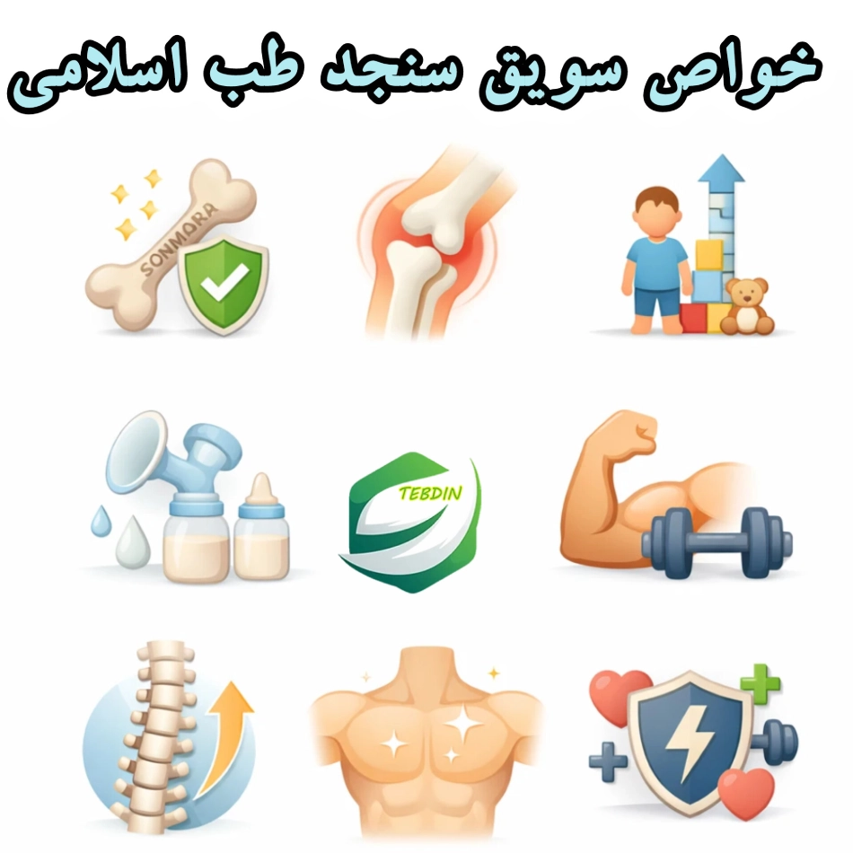 خواص سویق سنجد طب اسلامی