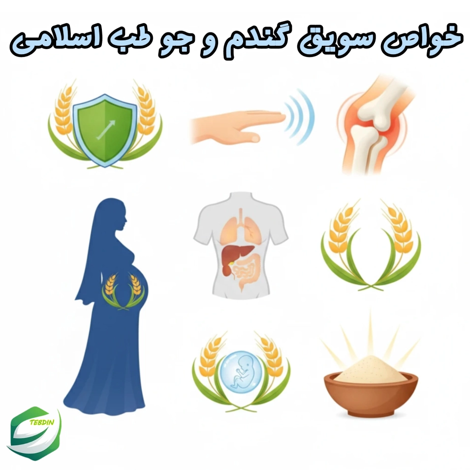 خواص سویق گندم و جو طب اسلامی