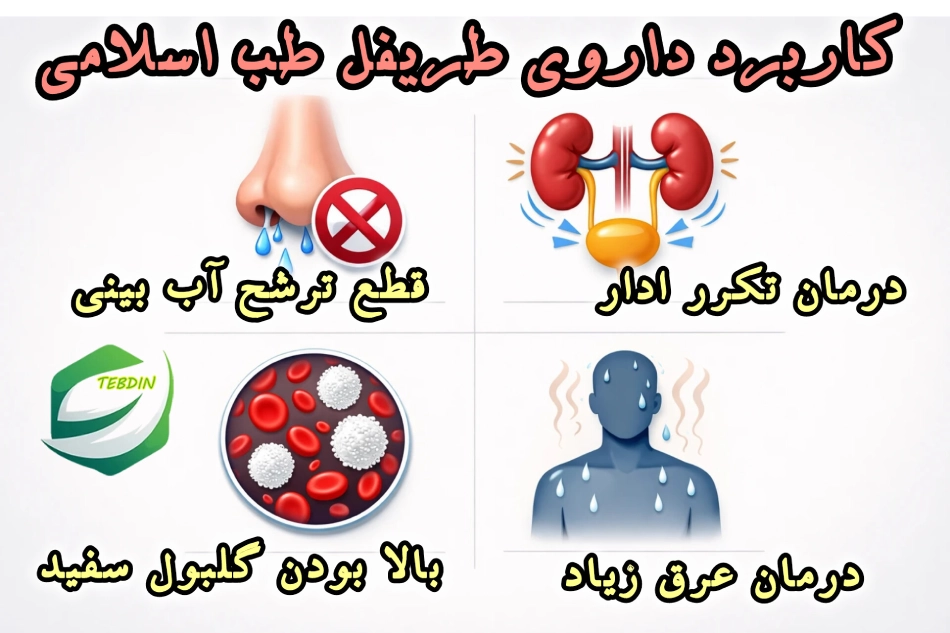 کاربرد داروی طریفل طب اسلامی