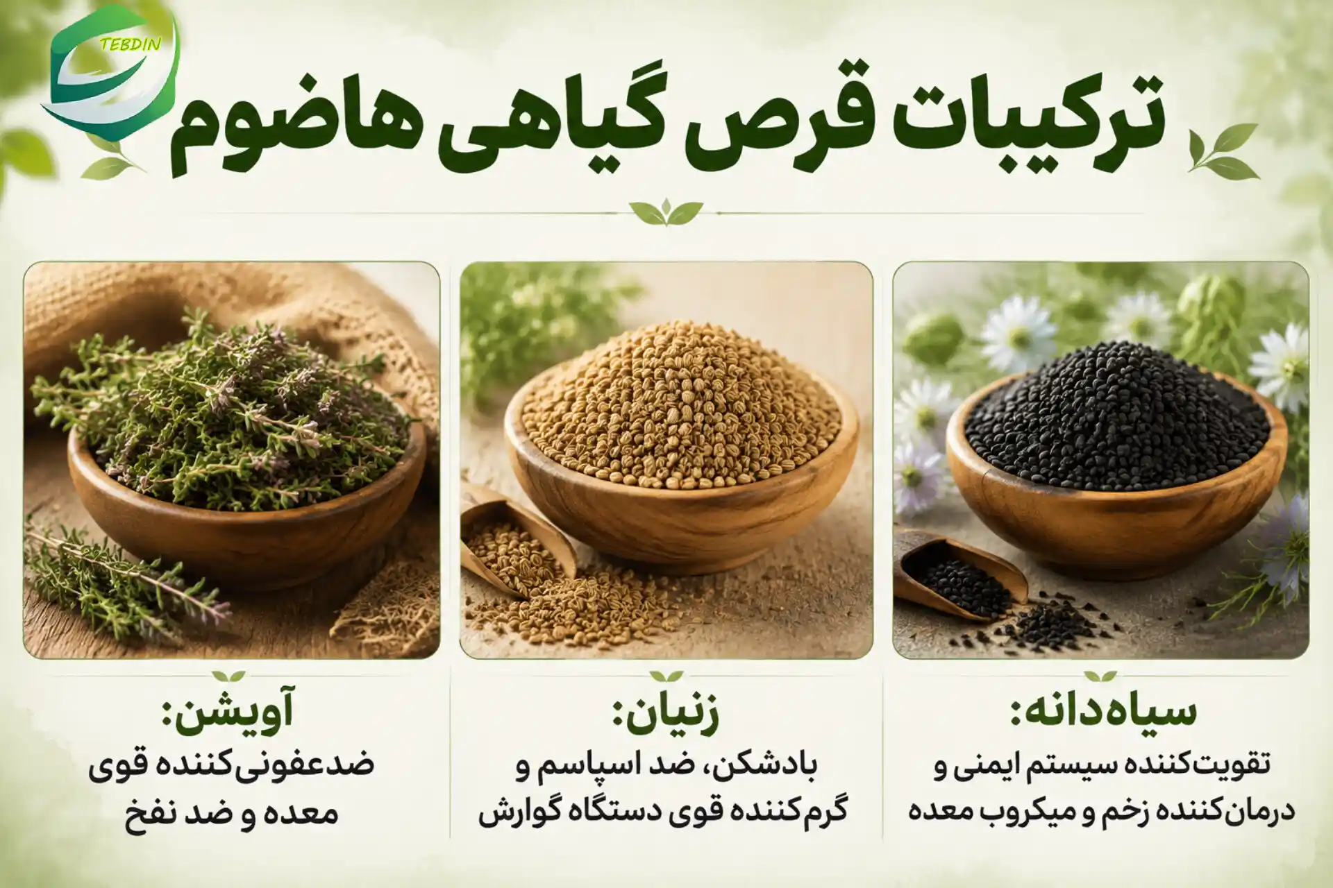 قرص گیاهی هاضوم 5 ترکیبات قرص گیاهی هاضوم