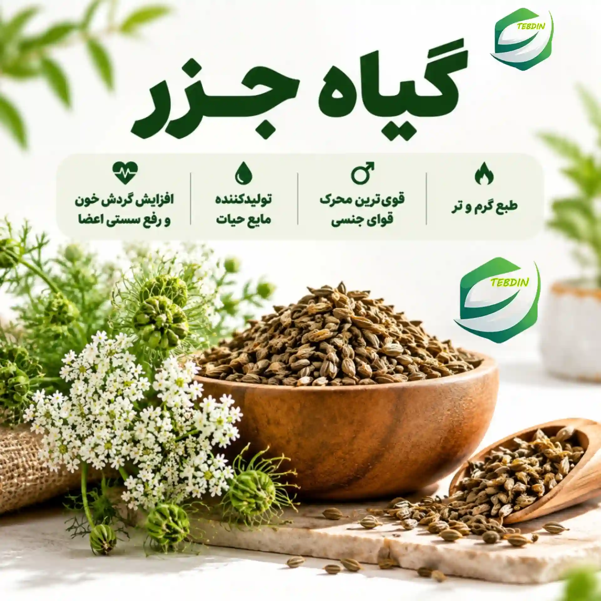 قرص گیاهی جزر 4 گیاه جزر
