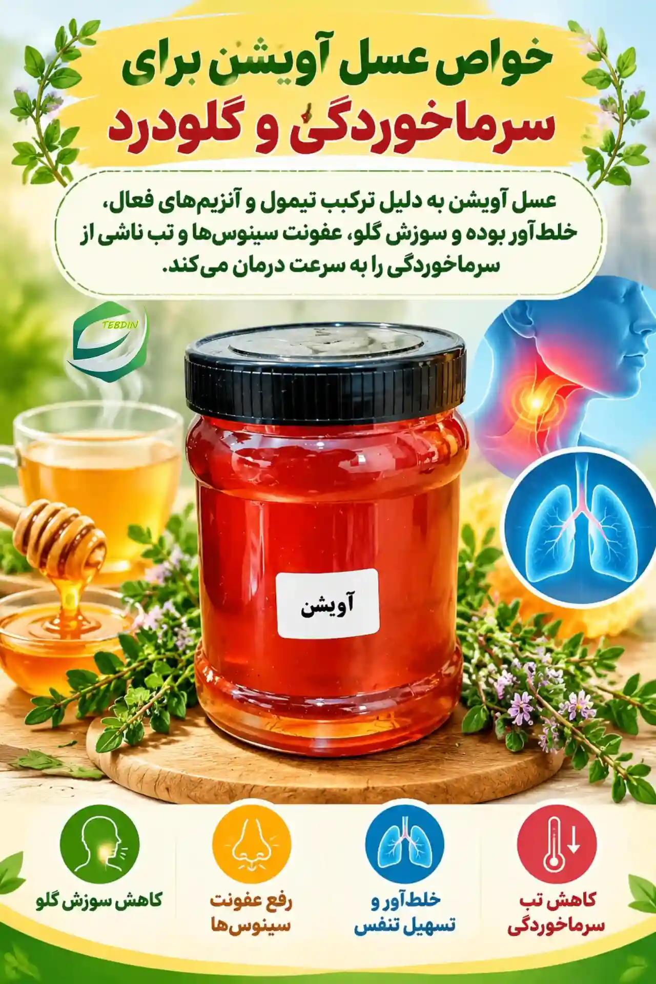عسل آویشن 6 خواص عسل آویشن برای سرماخوردگی و گلودرد