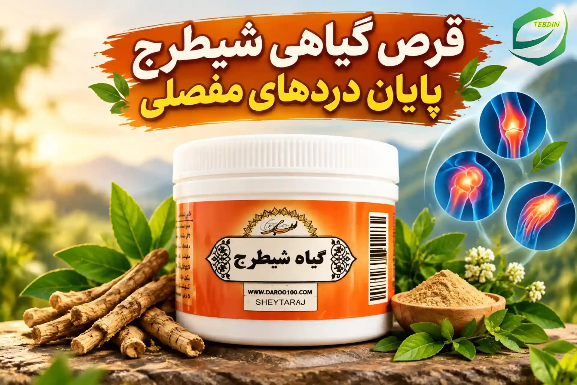 قرص گیاهی شیطرج 10 قرص گیاهی شیطرج پایان دردهای مفصلی