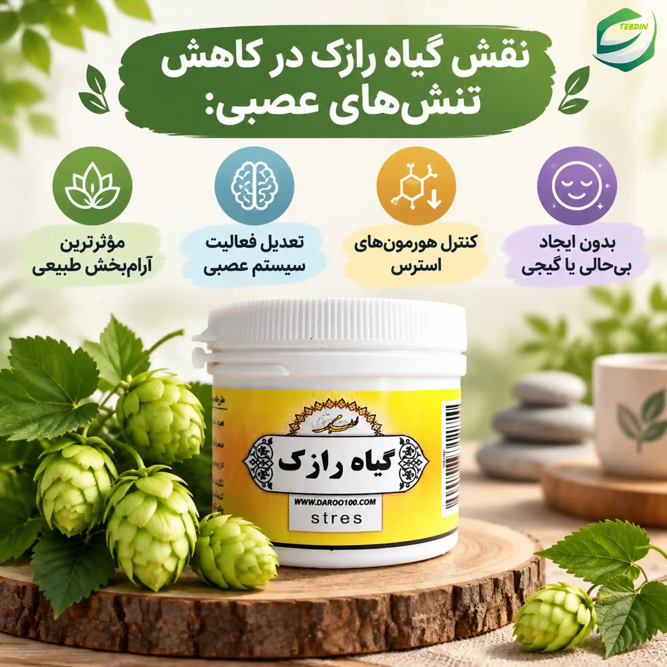قرص گیاهی استرس 6 نقش گیاه رازک در کاهش تنش های عصبی