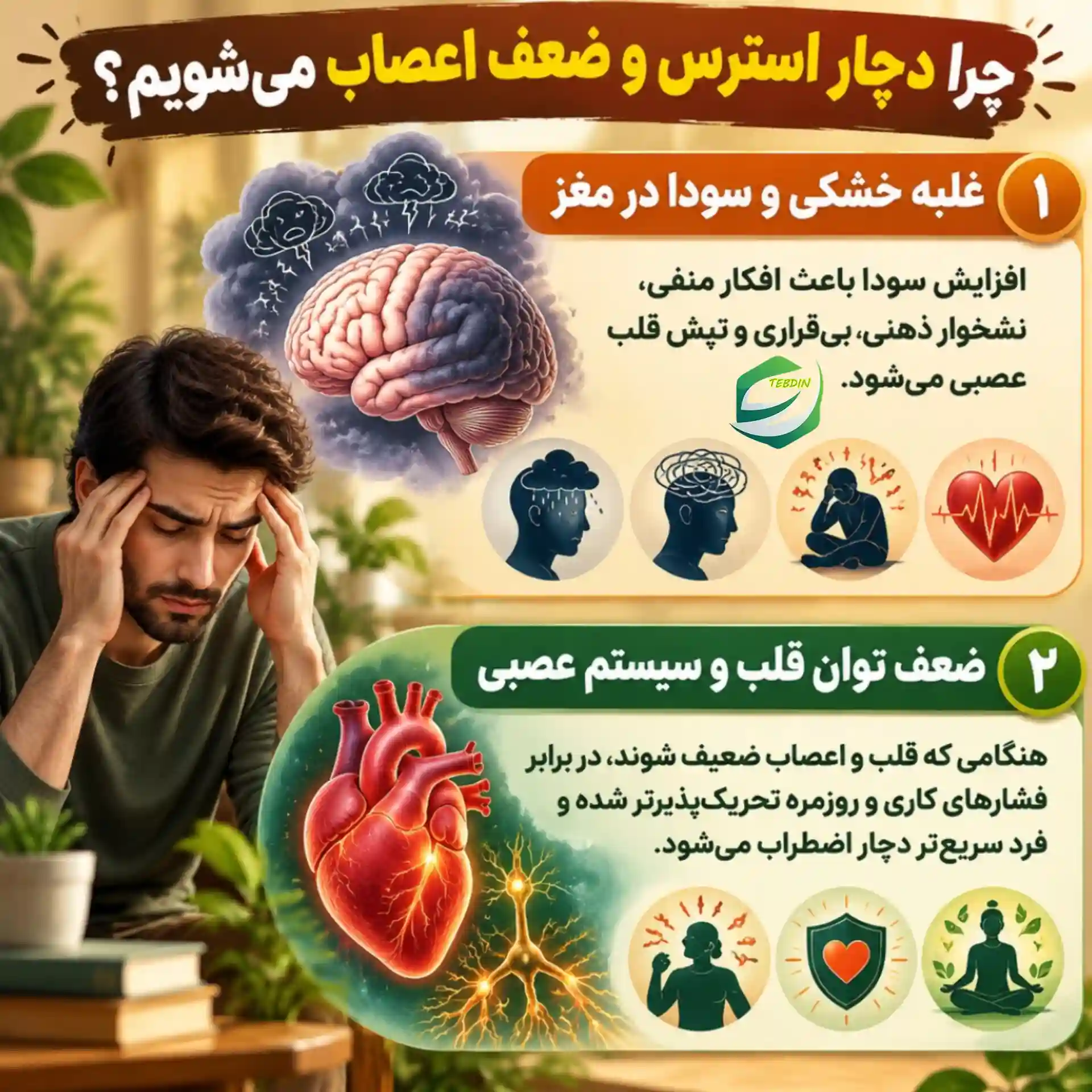 قرص گیاهی استرس 4 چرا دچار استرس و ضعف اعصاب می شویم؟